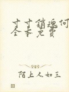 寸寸销魂何生祥全本免费