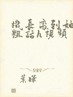 机长脔到她哭h粗话h视频