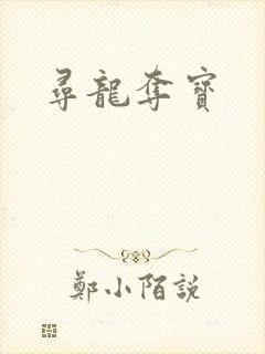 寻龙夺宝