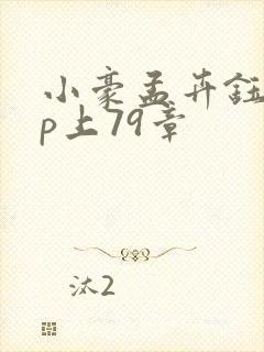 小豪孟卉钰慧三p上79章