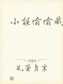 小说偷偷藏不住