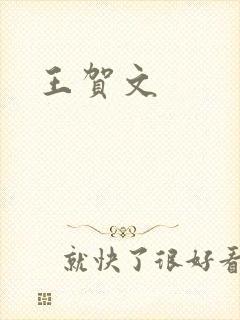 王贺文