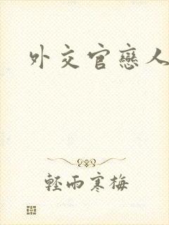 外交官恋人小说