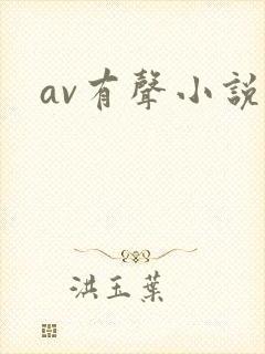av有声小说