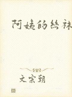 阿姨的丝袜小说