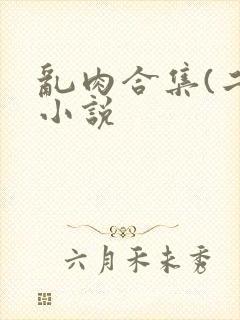 乱肉合集(二)小说