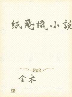 纸飞机小说