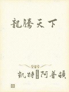 龙腾天下