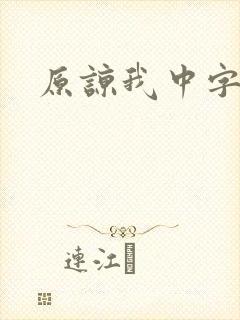 原谅我中字