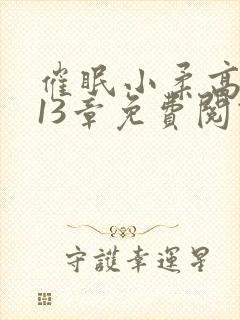 催眠小柔高达第13章免费阅读