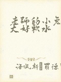 老师的小兔子好大好软水