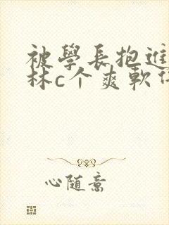 被学长抱进小树林c个爽软件