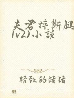 夫君摔断腿后(1v2)小说