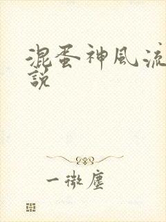 混蛋神风流史小说