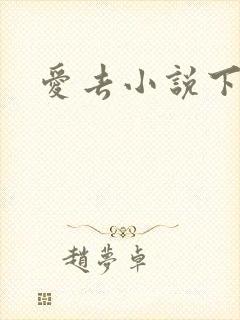 爱去小说下载网