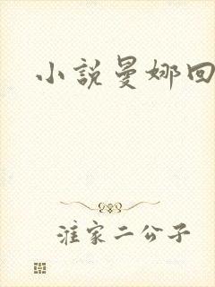 小说曼娜回忆录