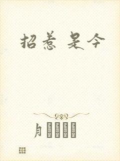 招惹 是今