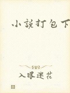 小说打包下载