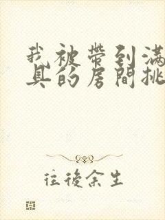 我被带到满是玩具的房间挑调作文