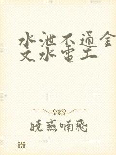 水泄不通金银原文水电工