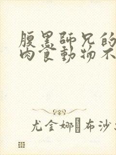 腹黑师兄的日常肉食动物不食草