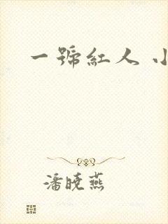 一号红人 小说