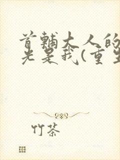 首辅大人的白月光是我(重生)