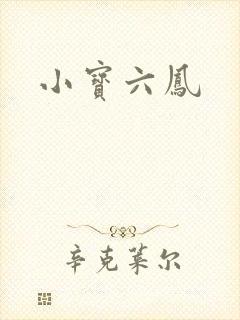 小宝六凤