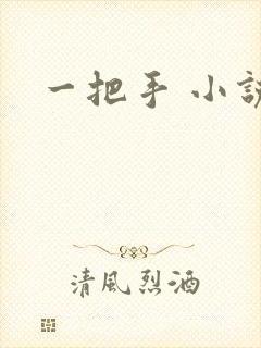 一把手 小说