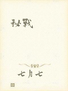 秘战
