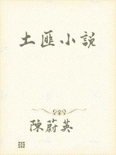 土匪小说