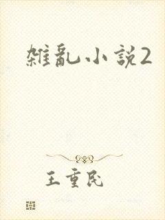 杂乱小说2