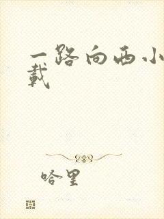 一路向西小说下载
