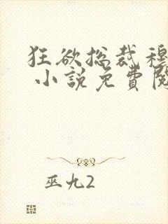 狂欲总裁穆非雪 小说免费阅读