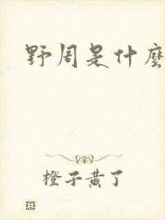 野周是什么意思