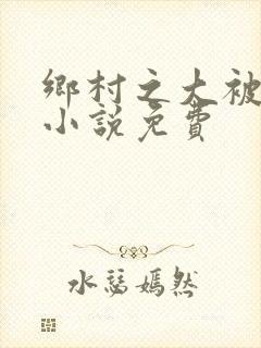 乡村之大被同眠小说免费