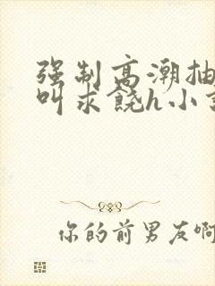 强制高潮抽搐哭叫求饶h小说