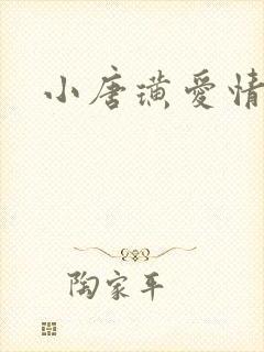 小唐璜爱情历史