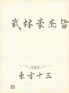 武林豪杰皆我奴