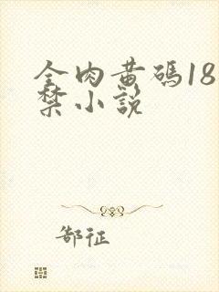 全肉黄码18无禁小说