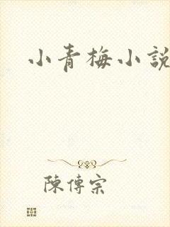 小青梅小说