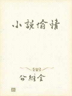 小说偷情