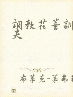 调教花蒂训诫从夫