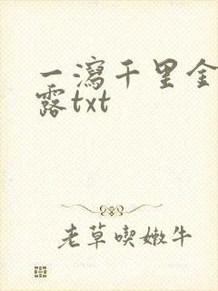 一泻千里金银花露txt