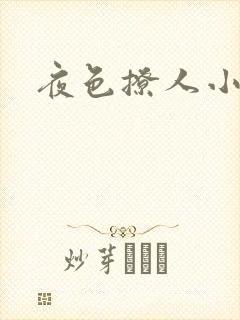 夜色撩人小说