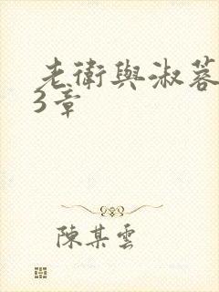 老卫与淑蓉第13章