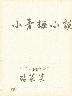 小青梅小说
