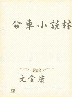 公车小说林蔓蔓