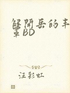 解开岳的丰满奶罩BD