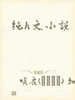 纯h文小说